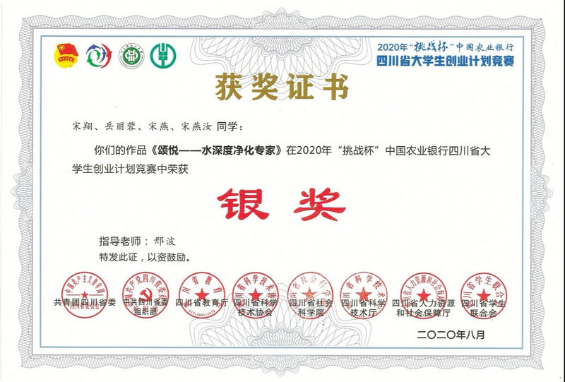 挑战杯省银奖.jpg